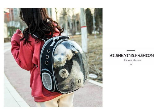 便攜透明寵物背包 湯河店太空貓包艙，出行新選擇